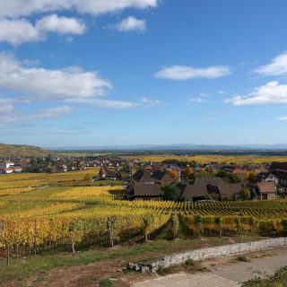 Ammerschwihr : paysage, vignes